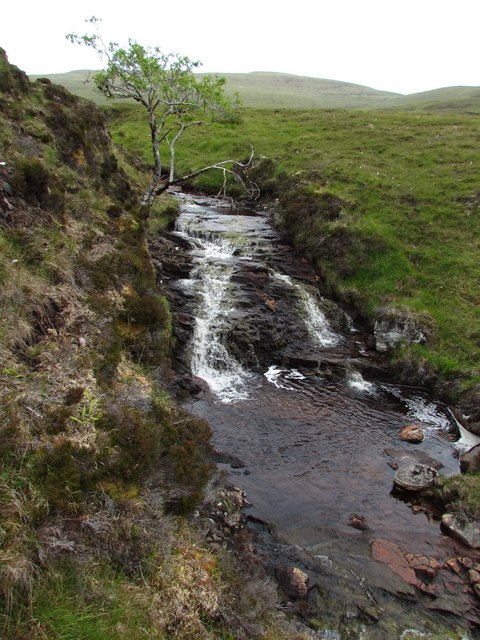 Rowan and waterfall, Alltan a'Choin Duibhe