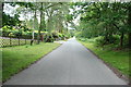 Looking Down Kingsley Wood Road