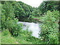 The River Ure: looking upstream from near Quarry Hill