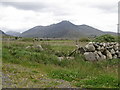 Pasture land on the Leitrim Road