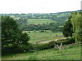 View south near Harperhill Farm