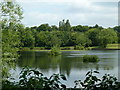 Lake - Wingerworth lido