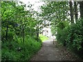 Path, Hogganfield Park