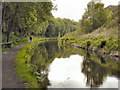 Huddersfield Narrow Canal, Marsden