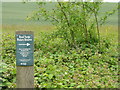 Road Verge Nature Reserve