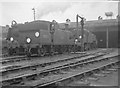 Exmouth Junction sheds near Polsloe Bridge