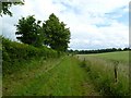 Manswood, footpath