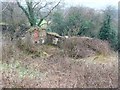 Ruined cottages off Green Lane, Farnley