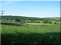 Farmland off Wharfside Avenue