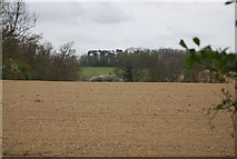 TQ1432 : Ploughed field near Strood Park by N Chadwick