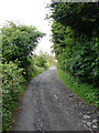 Track off Cloch Road