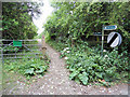 Footpath on Cleeve Hill ridge