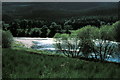 River Tay - 1980