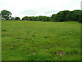 Farmland near Smelthouses