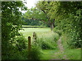 Footpath to Eckington