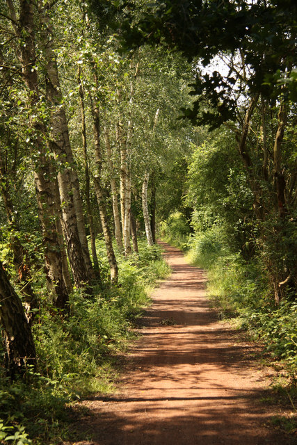 Dukeries Trail