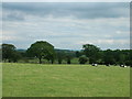 Farmland, Careless House Farm