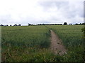 TM2763 : Footpath to Lampardbrook & Victoria Mill Road by Geographer
