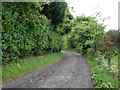 Lane near Underheugh Quarry