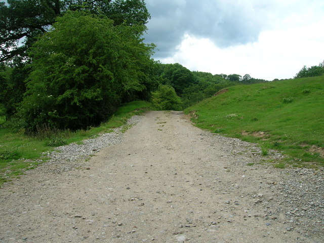 Farm track towards Spring Wood