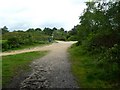 Canford Heath, path junction