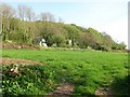 Field off Salcombe Hill