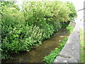 Beck beside road, Bishop Monkton