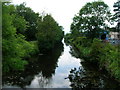 Milby Cut, Boroughbridge