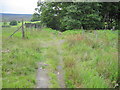 Footpath towards Bents Road