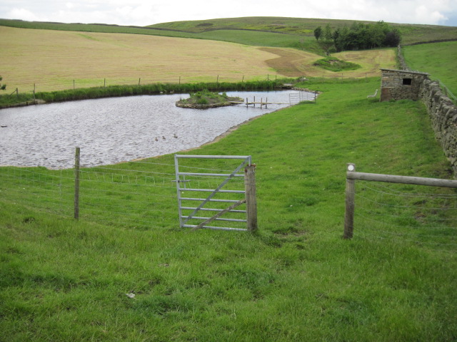 Footpath and pond near Finkle Edge