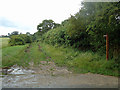 Bridleway off Buckhatch Lane