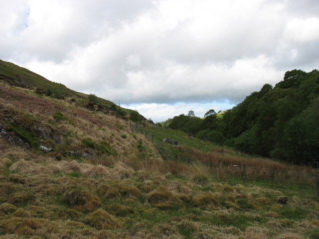 In Cwm Einion © David Purchase :: Geograph Britain and Ireland