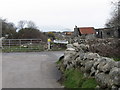 Derelict farm buildings and a cow on the Longstone Road