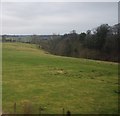 Wooded valley near Peelwalls