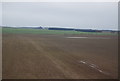 NT8961 : Large field near Reston by N Chadwick