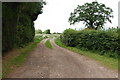 Farm Track near Barts Farm