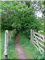 Footpath to Gall End