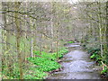 Langley Beck, Staindrop