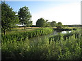 Pond at Audleby