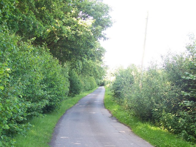 Wood Lane from first bend SSW