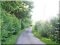 Wood Lane from first bend SSW