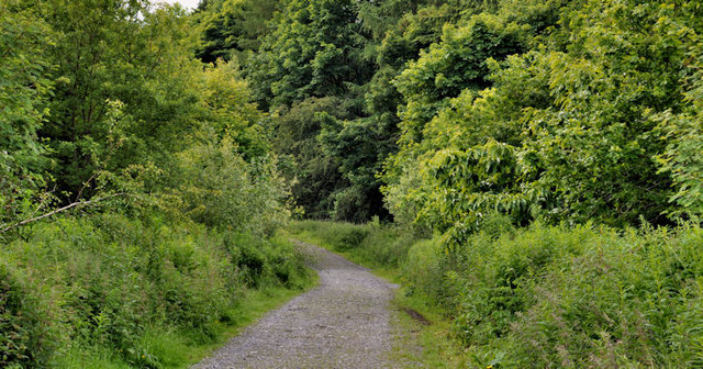 Path, Cairn Wood, Craigantlet (3)