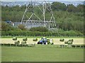 Baling silage