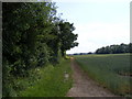 TM2864 : Footpath to the B1120 Badingham Road by Geographer