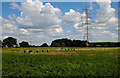 Farmland near Buttercrambe Moor