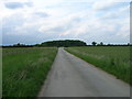 Track to Low House Farm