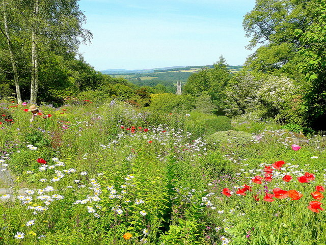 The Garden House garden in June - 8 © Jonathan Billinger :: Geograph ...