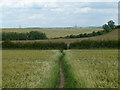 Footpath east of Calow