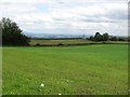 Grassland, Newfield