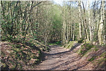 TQ4951 : Greensand Way, Stubbs Wood by N Chadwick